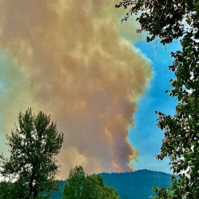 Prevent Wildfires: What You Can Do